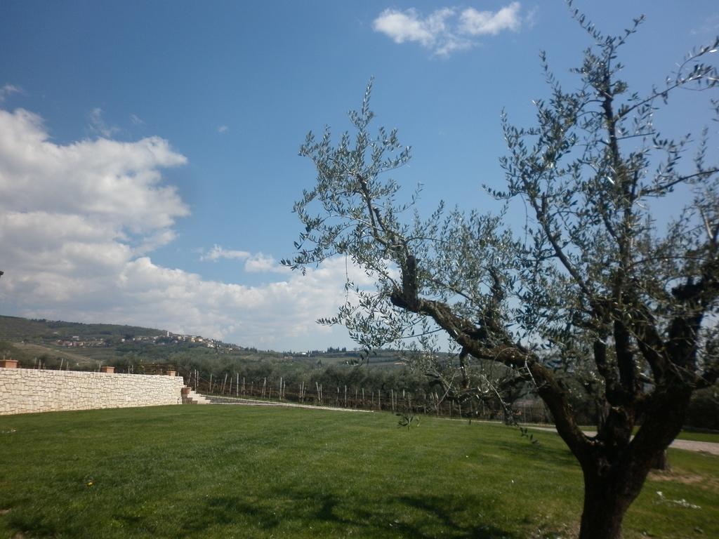 Apartmán La Piccola Mimosa SantʼAmbrogio di Valpolicella Exteriér fotografie