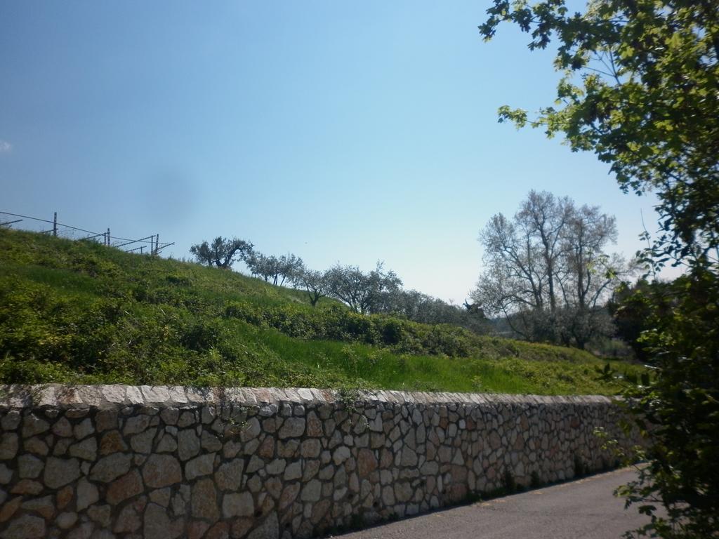 Apartmán La Piccola Mimosa SantʼAmbrogio di Valpolicella Exteriér fotografie