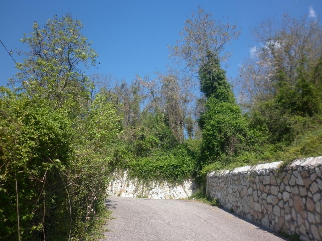 Apartmán La Piccola Mimosa SantʼAmbrogio di Valpolicella Exteriér fotografie