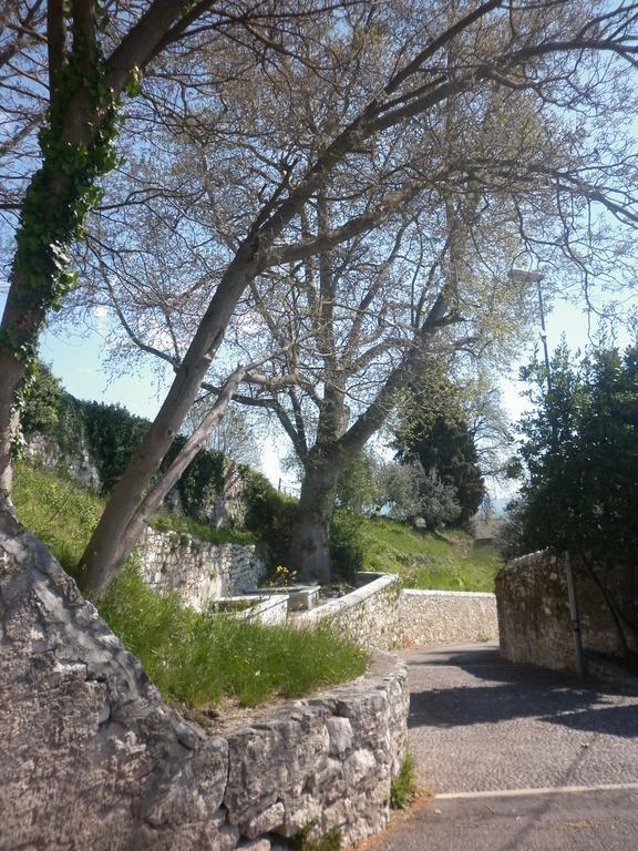 Apartmán La Piccola Mimosa SantʼAmbrogio di Valpolicella Exteriér fotografie